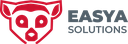 OPEN-DSI
