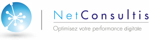 NET CONSULTIS